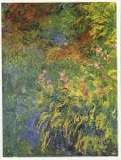 Claude Monet Irises, 1914-17 oil on canvas